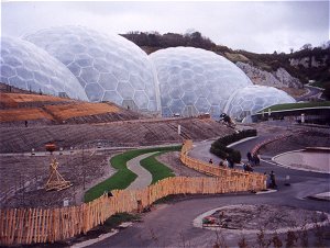 Picket Fencing Surrounding the Orchard at the Eden Project