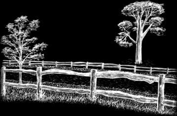 Sketch of Post and Rail fencing